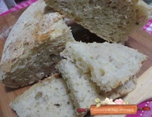 pane senza impasto sfrizzoli di maiale ricetta