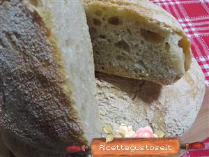 ricetta pane senza impasto