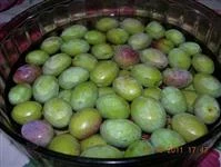 olive verdi in salamoia immagine 1