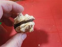 biscotti albumi e noci immagine 7