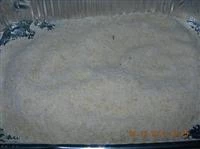ricciarelli immagine 1