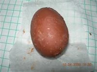 uovo di pasqua immagine 11