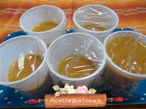 congelare succo fichi d india