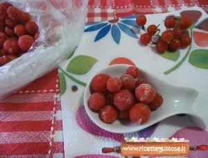 pomodorini ribes congelati