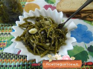 salicornia sott olio