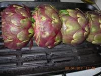 4 immagine carciofi alla piastra