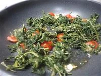 cicoria ripassata al pomodoro immagine 2