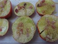 melanzane rosse di rotonda allo speck immagine 3