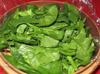 spinaci al vapore immagine 1