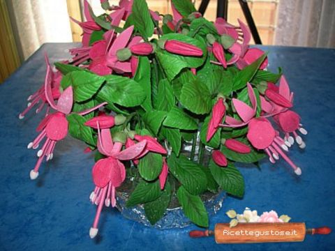 <emptyTutorial pianta fiore fucsia>