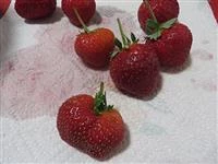 fragole cioccolato bianco e nocciole immagine 1