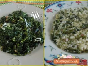 ricette con la caciotta di bufala