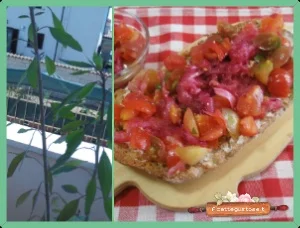 Ricette con coriandolo boliviano