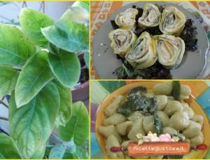 ricette con erba formaggio facili 