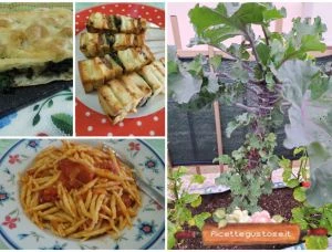 fior di cavolbroccolo ricette
