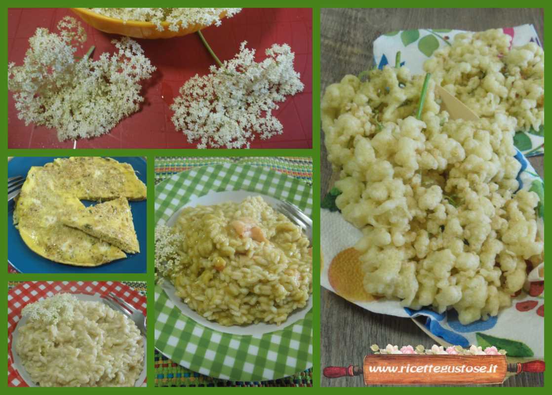 Ricette fiori con di sambuco
