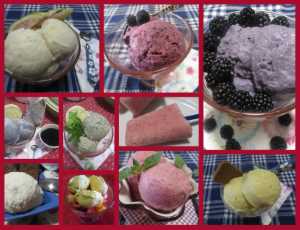 ricette gelati alla frutta