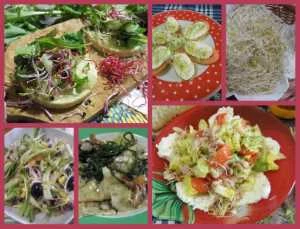 ricette con germogli alfa alfa