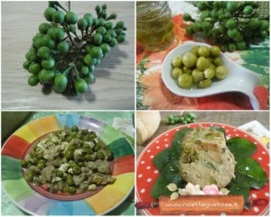 melanzane turkey berry ricette