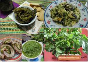 ricette ramoracce broccoletti selvatici 