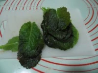 insalata cetrioli senape rossa di Osaka e origano piccante 1
