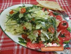 insalata con agretti erba sale  