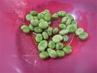 insalata fave sott olio e pecorino immagine 1