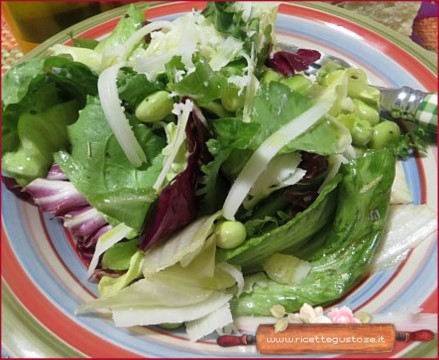 insalata fave sott olio e pecorino