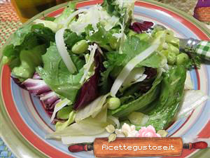 insalata fave sott olio pecorino