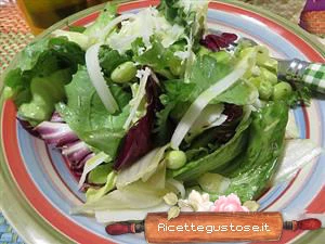 insalata con fave sott'olio e pecorino