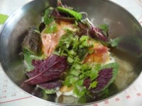 insalata prosciutto melone e salvia melone immagine 4