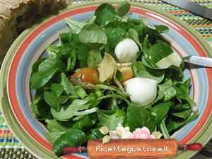 insalata valeriana mozzarella di bufala