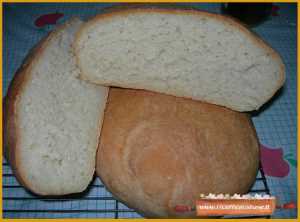 Pagnotta alle tre farine