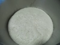 pane ciabatta fatto in casa immagine 5