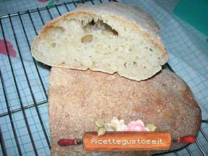 pane ciabatta ricetta