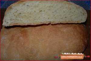pane farina di kamut