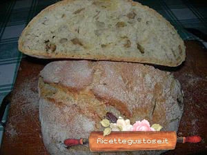 pane sena impasto ai funghi ricetta