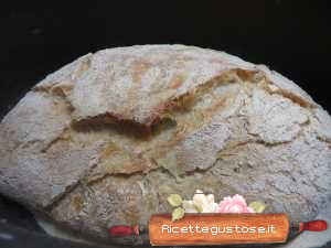 pane senza impasto con pasta madre lievito naturale