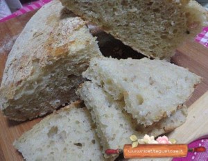 pane senza impasto sfrizzoli di maiale