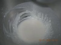 panepizza o panpizza immagine 2