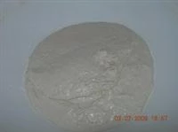 panepizza o panpizza immagine 5