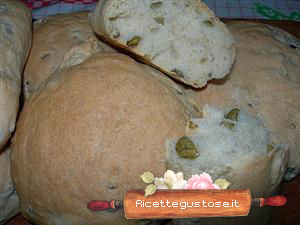 panini olive verdi