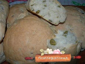 panini olive verdi ricetta
