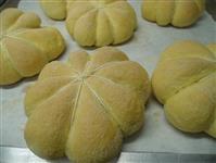 10 foto zucche di pane