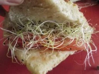 panino cipolle e germogli di porri immagine 4