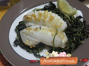 calamari alla griglia aceto balsamico