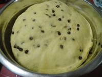colomba di Pasqua immagine 6