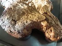 colomba Pasqua frutti rossi immagine 10