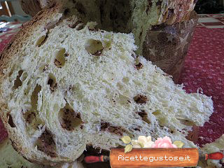 panettone cioccolato lievito madre ricetta