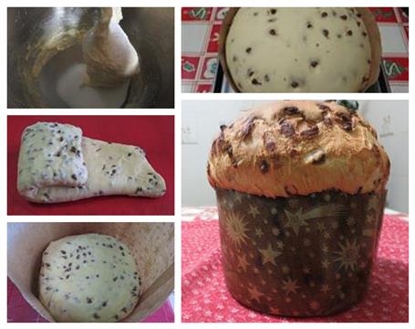 Panettone al cioccolato lievito madre